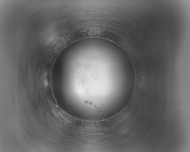 X0000078020962200610271230