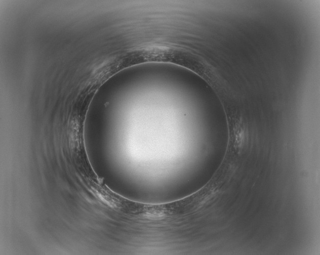 X0000078020964200610271230