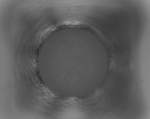 X0000078020966200610271230