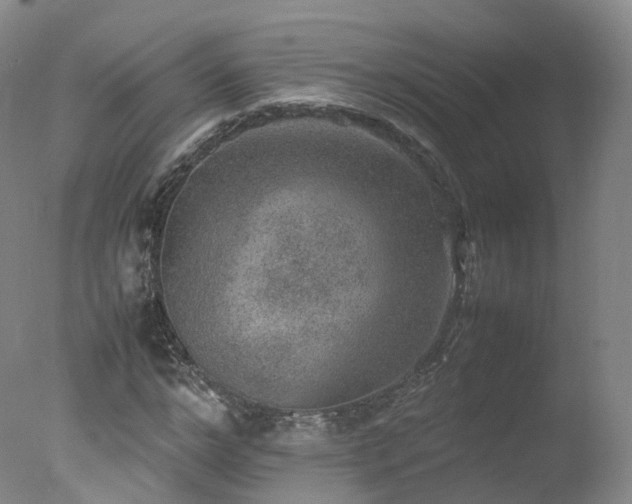 X0000078020968200610271229