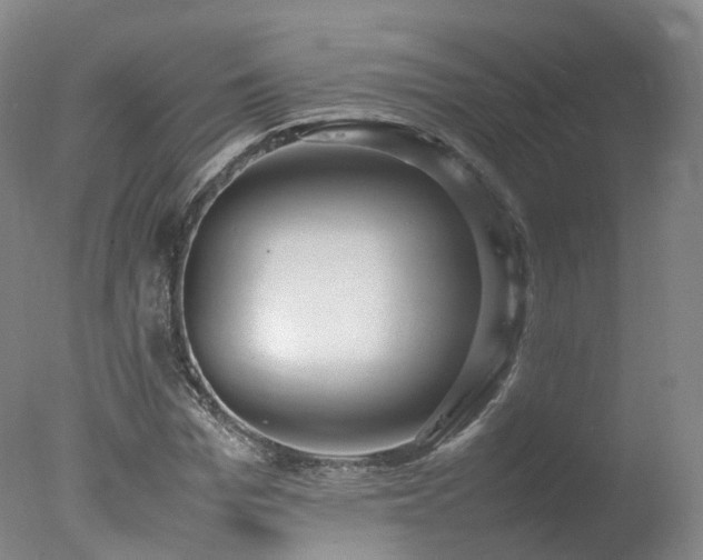 X0000078020969200610271229