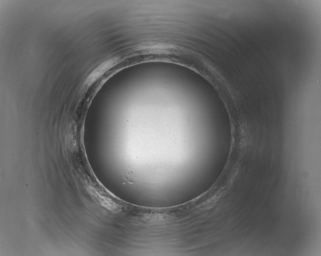 X0000078020970200610271229