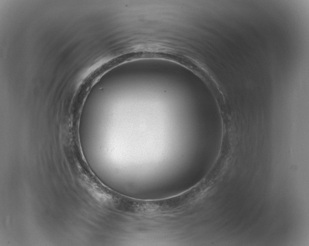 X0000078020971200610271229