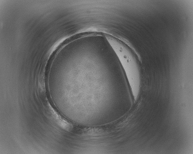 X0000078020972200610271229