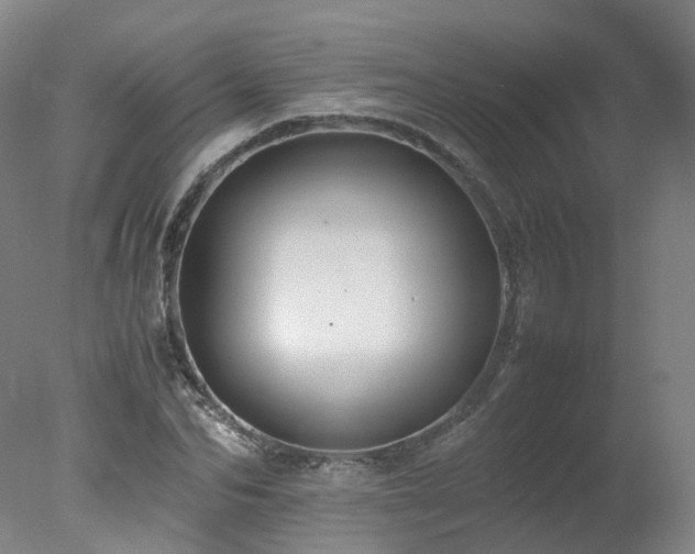 X0000078020974200610271229