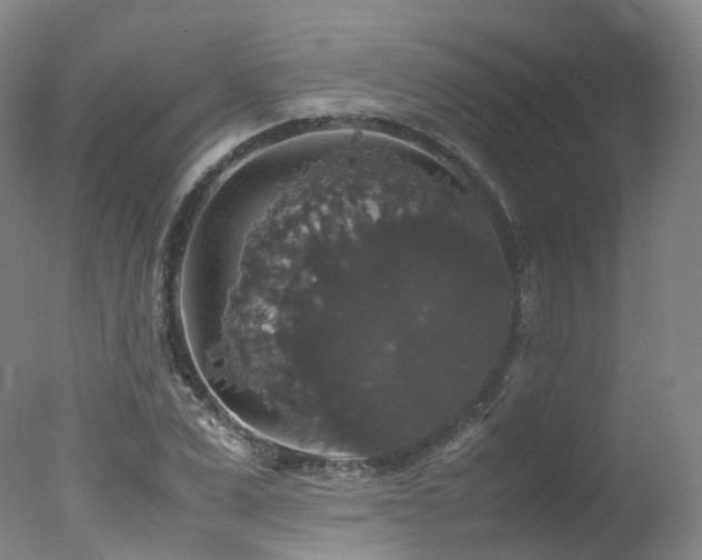 X0000078020975200610271229