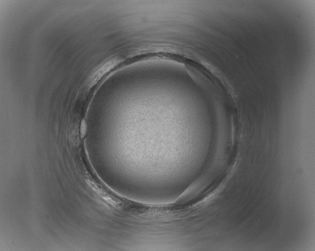 X0000078020977200610271229