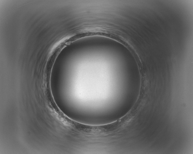 X0000078020979200610271229