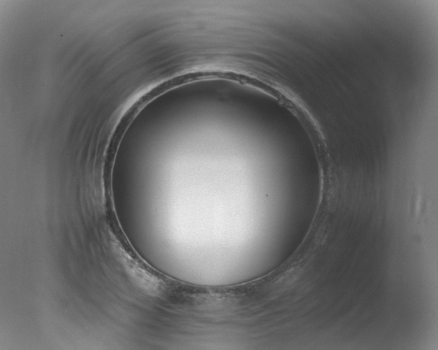 X0000078020980200610271229