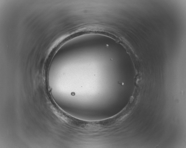 X0000078020981200610271229