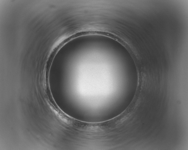 X0000078020982200610271229