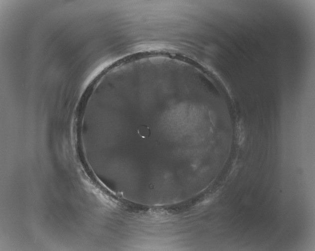 X0000078020983200610271229