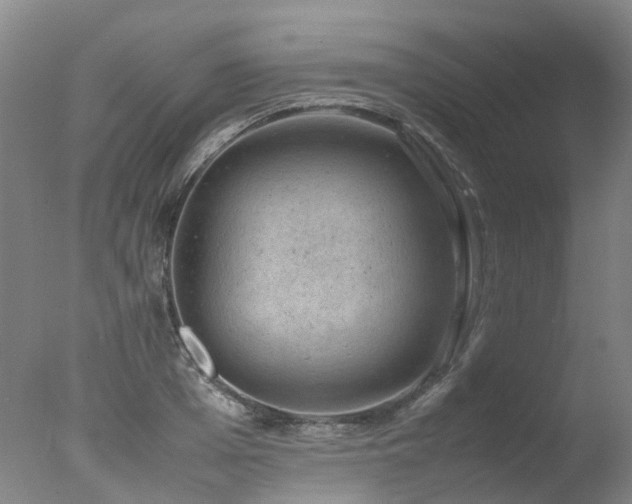 X0000078020985200610271229