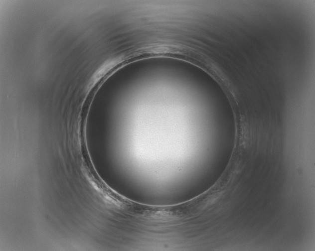 X0000078020986200610271229