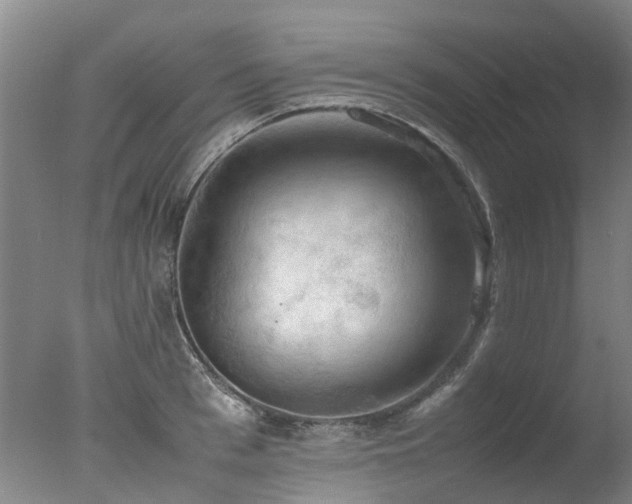 X0000078020993200610271229