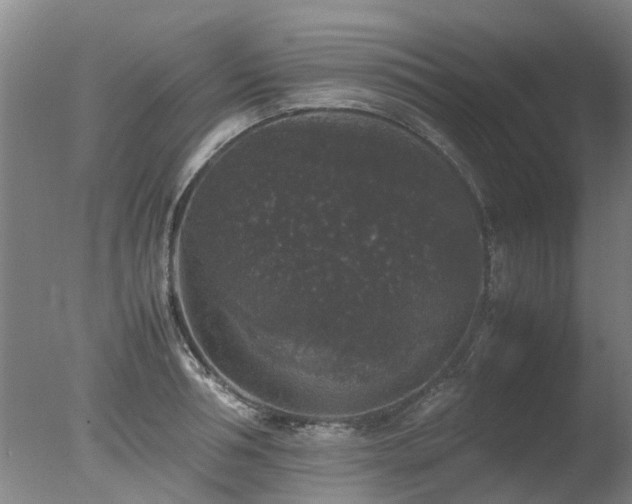 X0000078020994200610271229