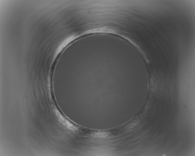 X0000078020998200610271229