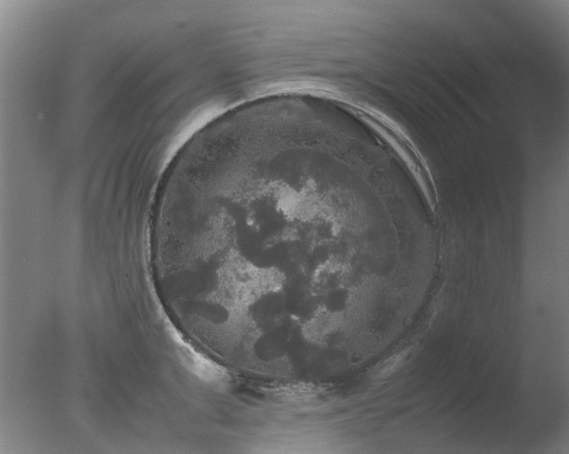 X0000078020999200610271229