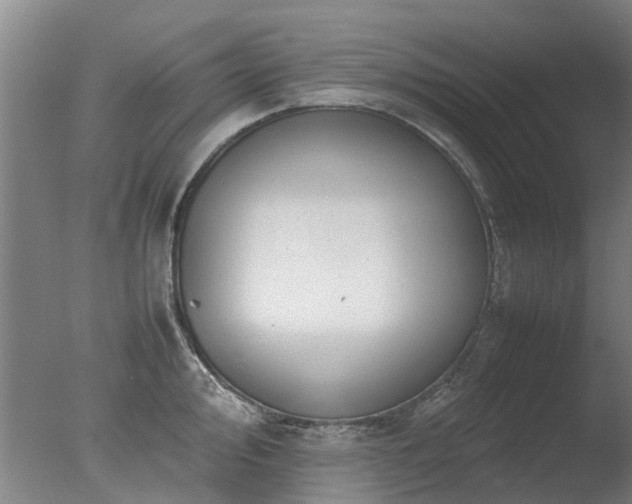 X0000078021000200610271229