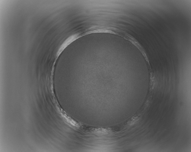 X0000078021002200610271229