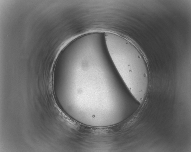 X0000078021004200610271229