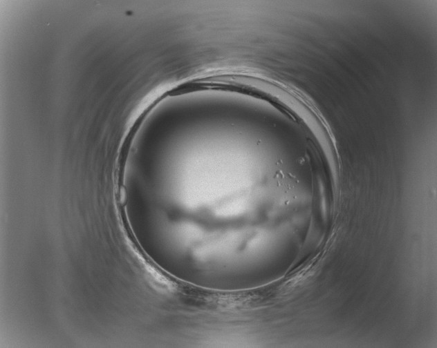 X0000078021005200610271229