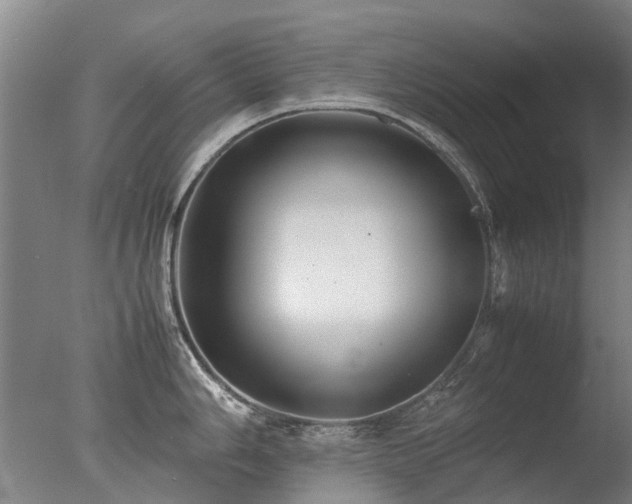 X0000078021006200610271229