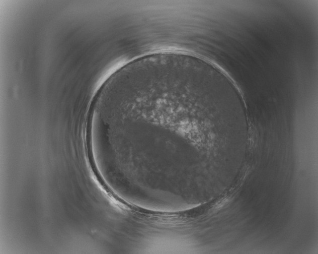 X0000078021007200610271229