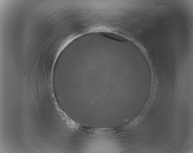 X0000078021008200610271229