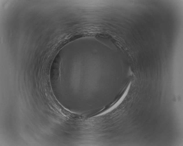 X0000078021009200610271228