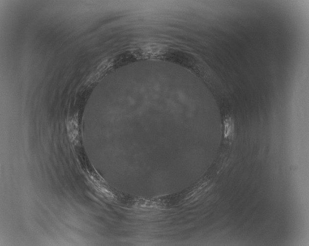 X0000078021011200610271228