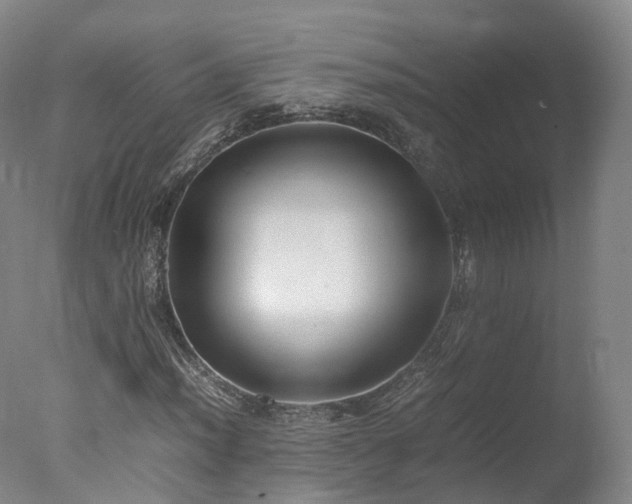 X0000078021012200610271228