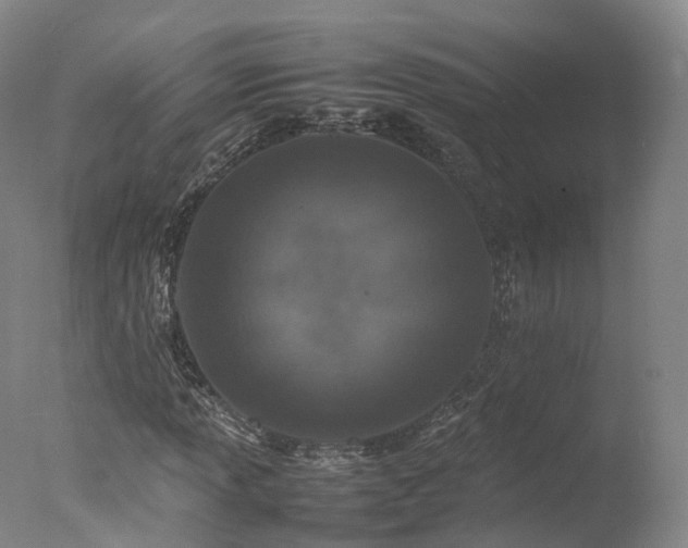 X0000078021013200610271228