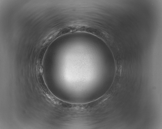 X0000078021014200610271228