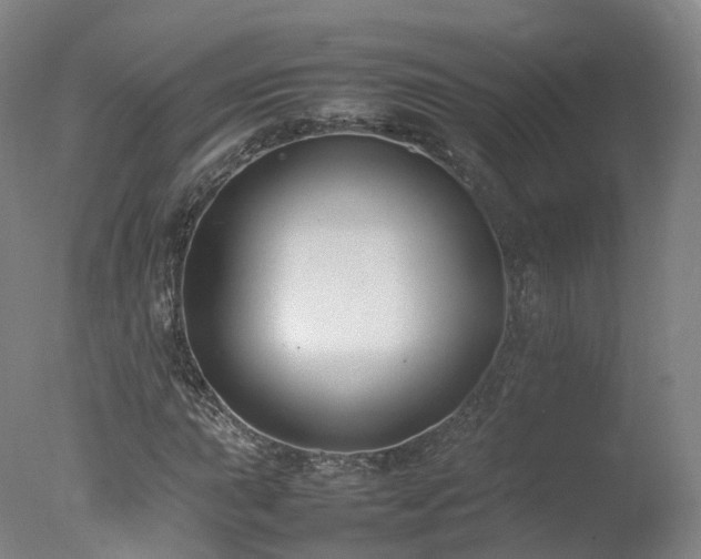 X0000078021015200610271228