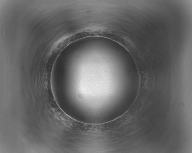 X0000078021016200610271228