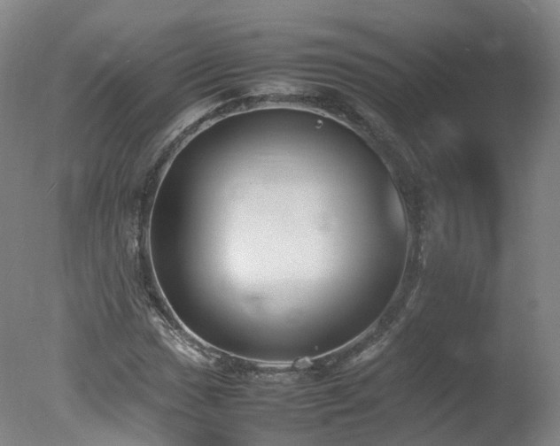 X0000078021017200610271228