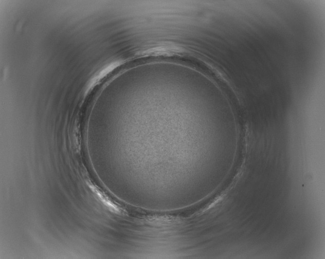 X0000078021018200610271228