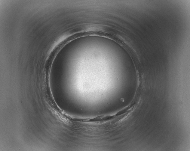 X0000078021021200610271228