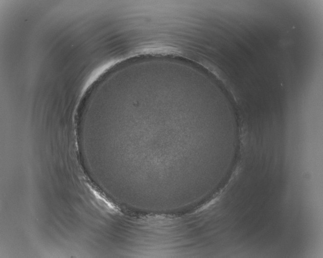 X0000078021022200610271228