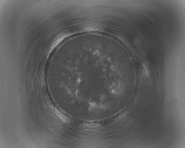 X0000078021023200610271228