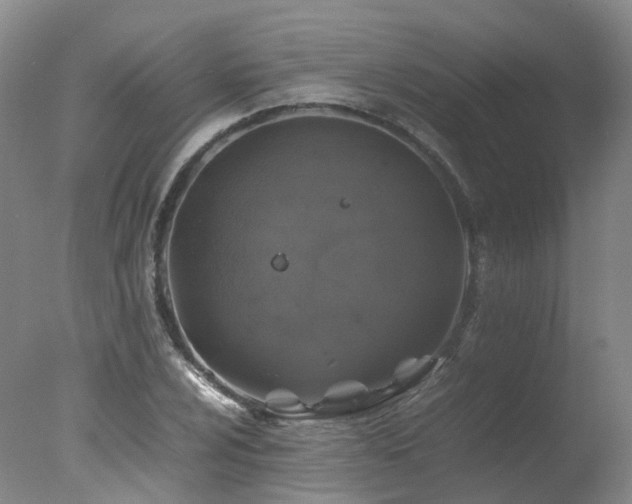 X0000078021024200610271228