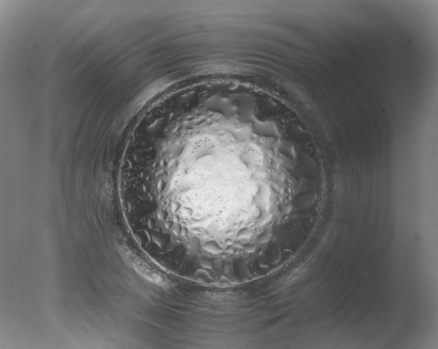 X0000078021025200610271228