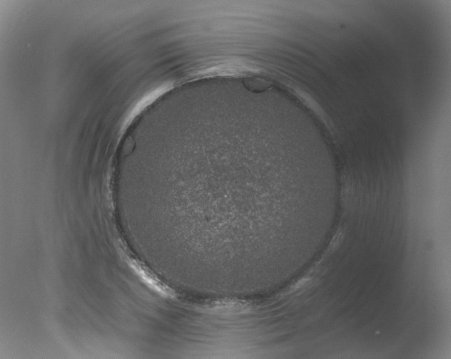 X0000078021026200610271228