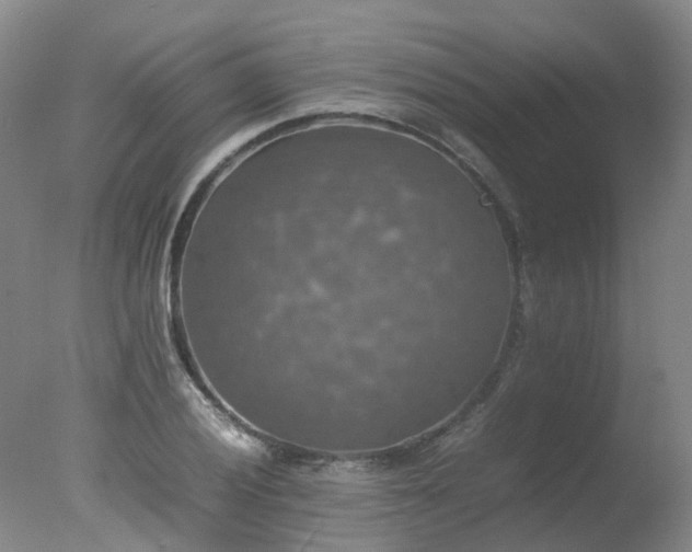 X0000078021028200610271228