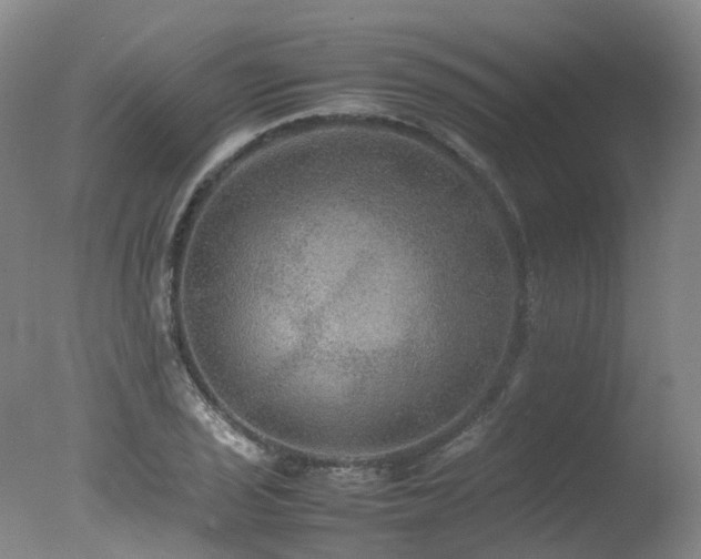 X0000078021029200610271228