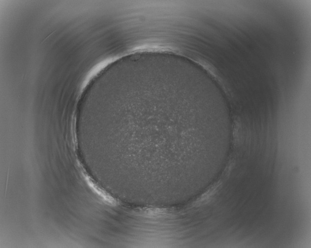 X0000078021030200610271228