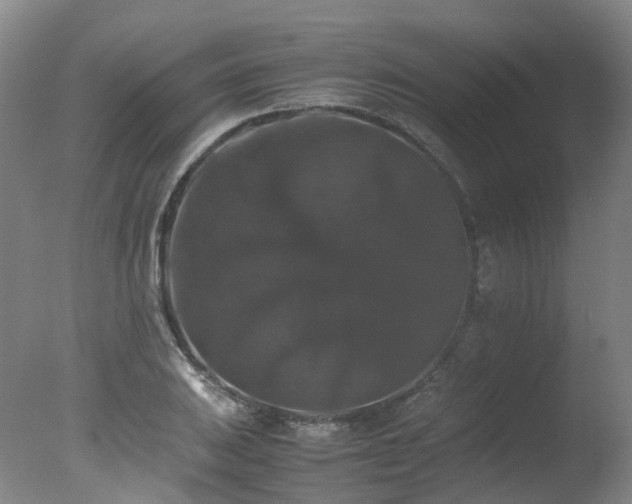 X0000078021031200610271228