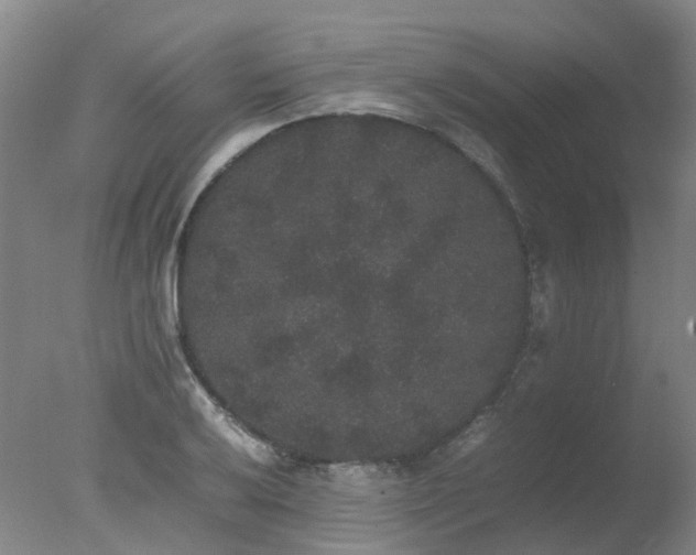 X0000078021032200610271228