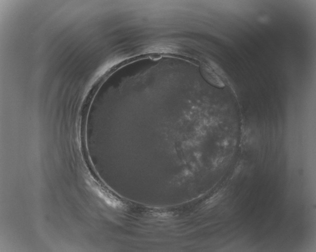 X0000078021035200610271228